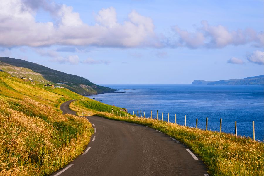 Friends with a Rental Car
